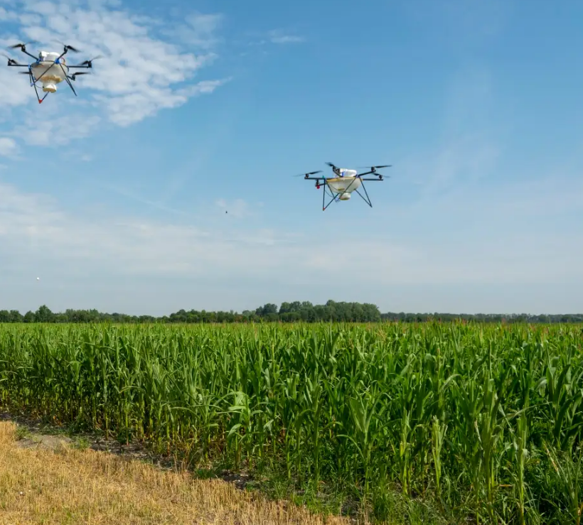 Tecnología y producción agroindustrial